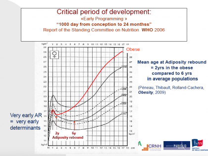 Role Of Nutrients In Promoting Adiposity Development