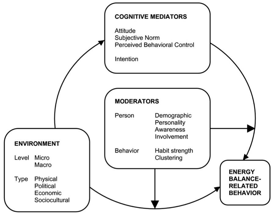 The Environment And Physical Activity The Free Obesity EBook