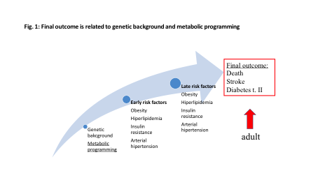 metabolic-programming-breastfeeding-and-later-risk-of-obesity-1